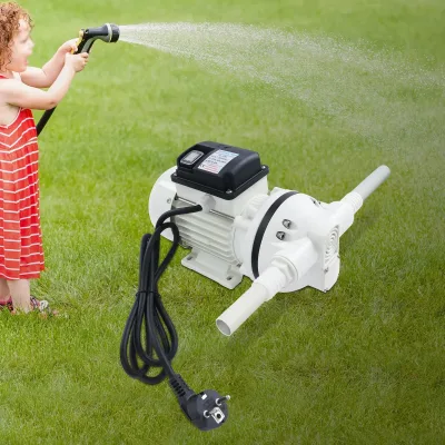 Pompe à membrane auto-amorçante 220 V – image 2